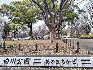 NAGOYA - Centre Ville et Vie Quotidienne - Janvier 2024 - 054